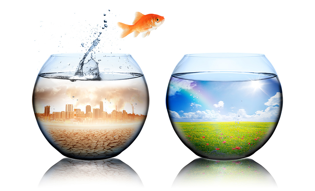 39601897-global-warming-concept-goldfish-jump-from-pollution-to-green.jpg